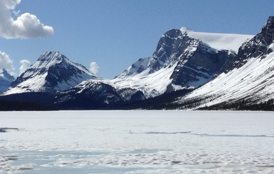 Laurie and Trish review of their null trip