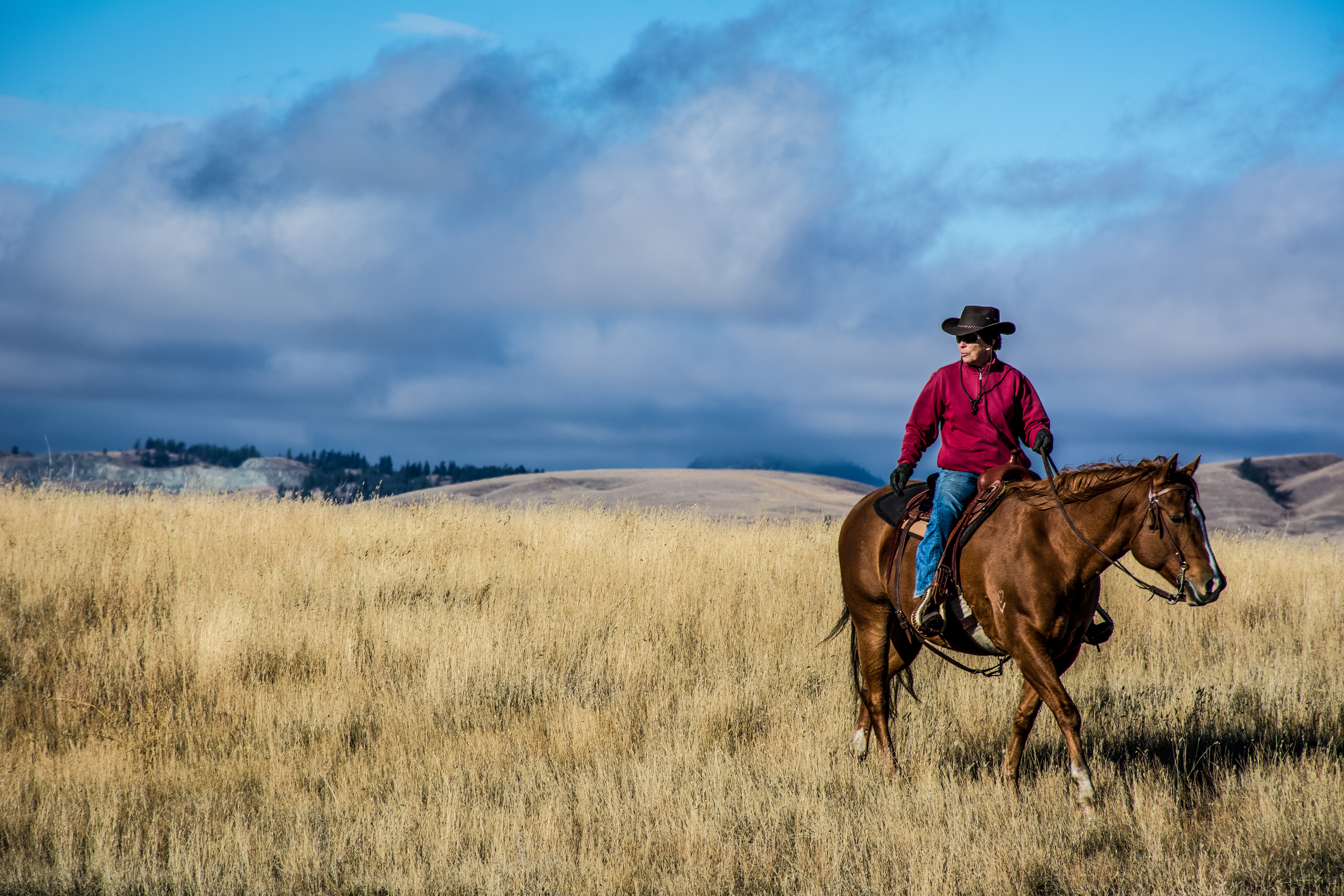 A person horseback riding through grasslands in Kamloops