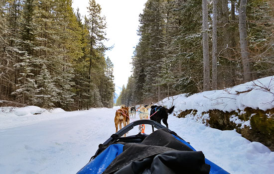 Pauleen and Anthony review of their null trip