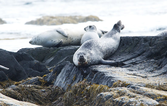 Ursula, William and Heather review of their [object Object] trip