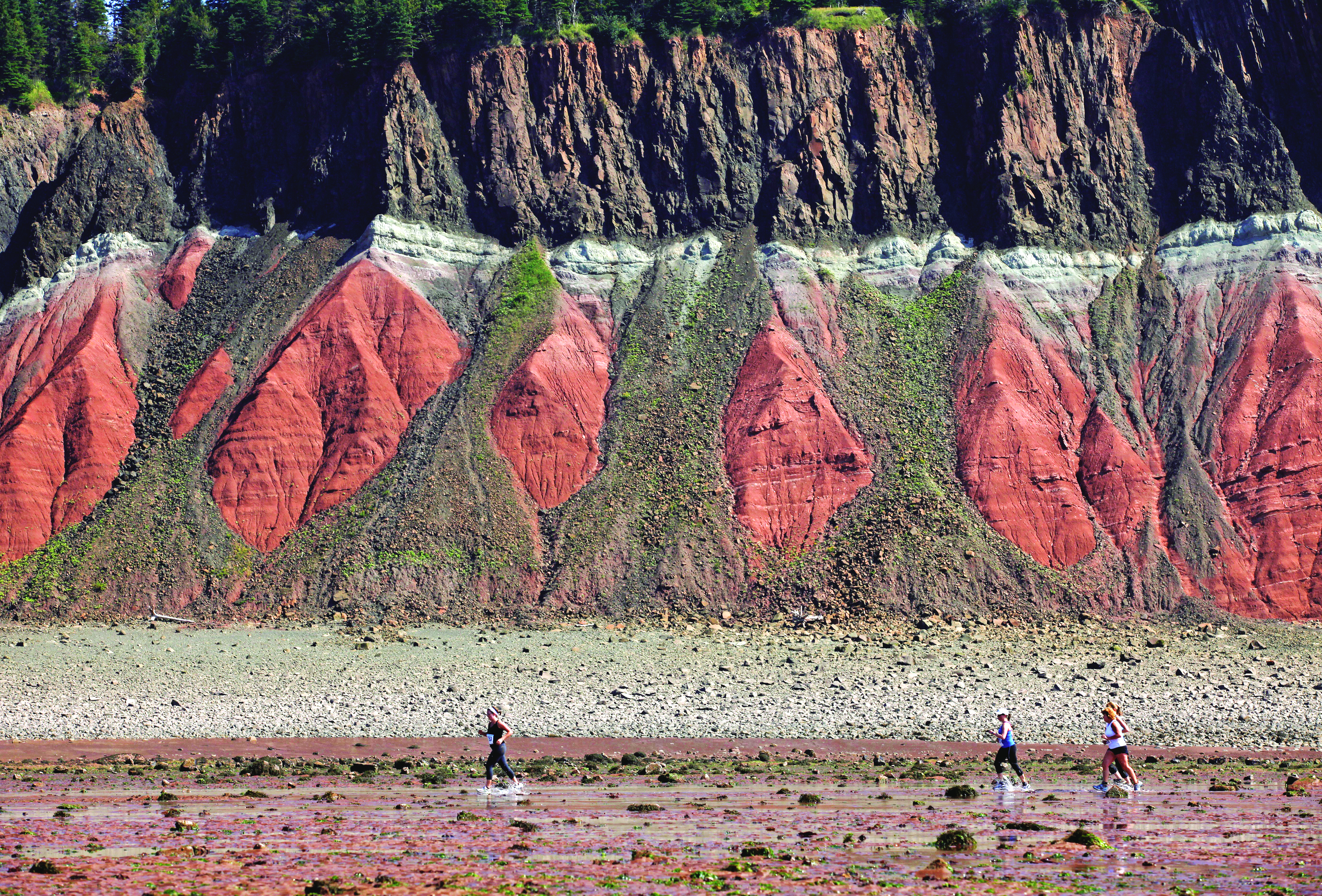 People running on the muddy ocean floor with red rock formations behind