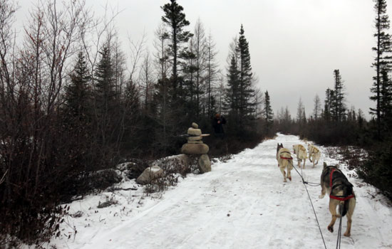 David and Mary Kay review of their [object Object] trip