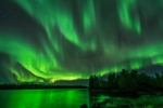 Display of northern lights above Tibbit Lake located on the Ingraham Trail in Yellowknife, Northwest Territories of Canada