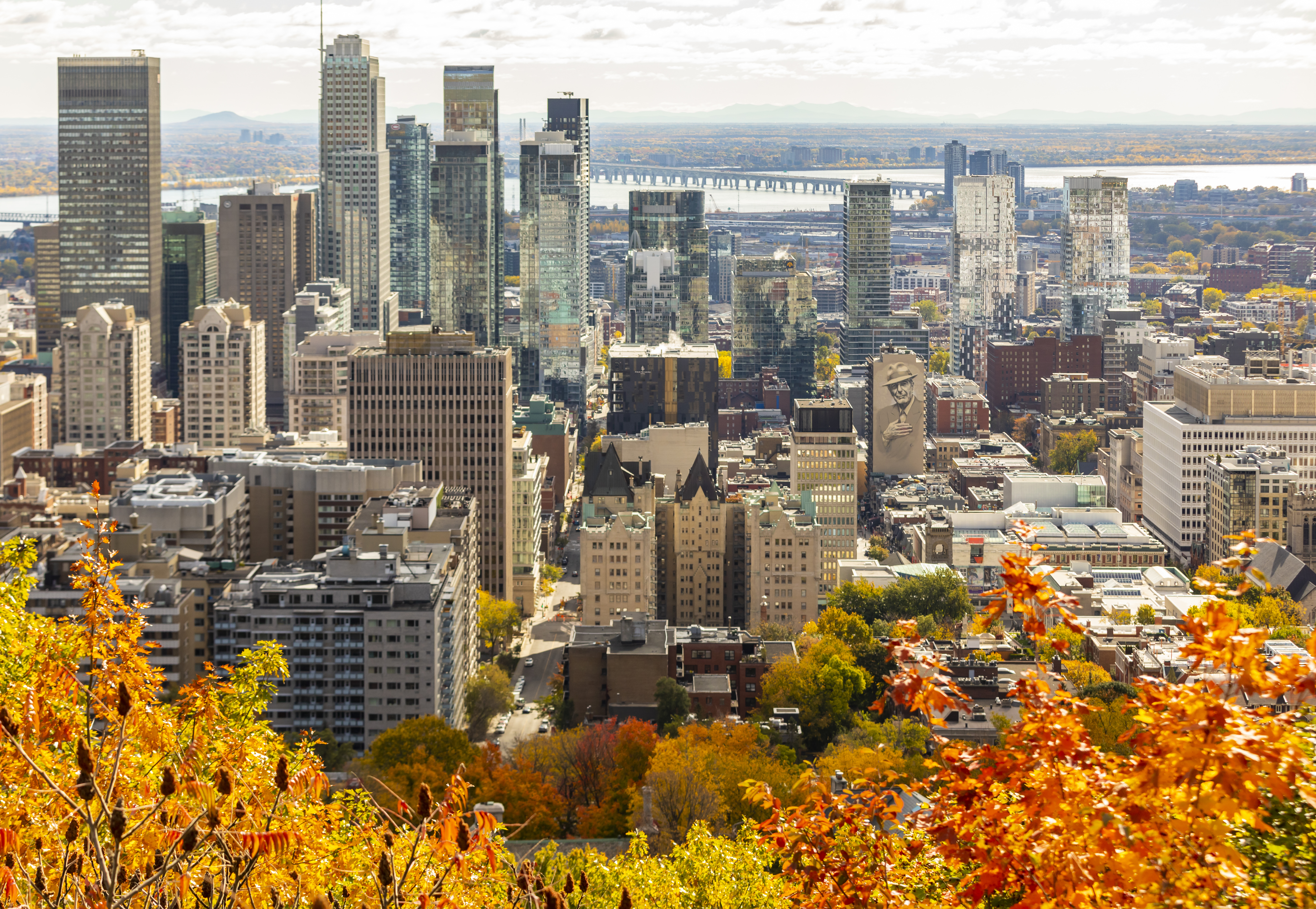 Trees with orange and red leaves in front of the Montreal city skyline