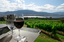 Vineyard at Osoyoos wine country, a glass of wine and a pitcher of water on a table with a view