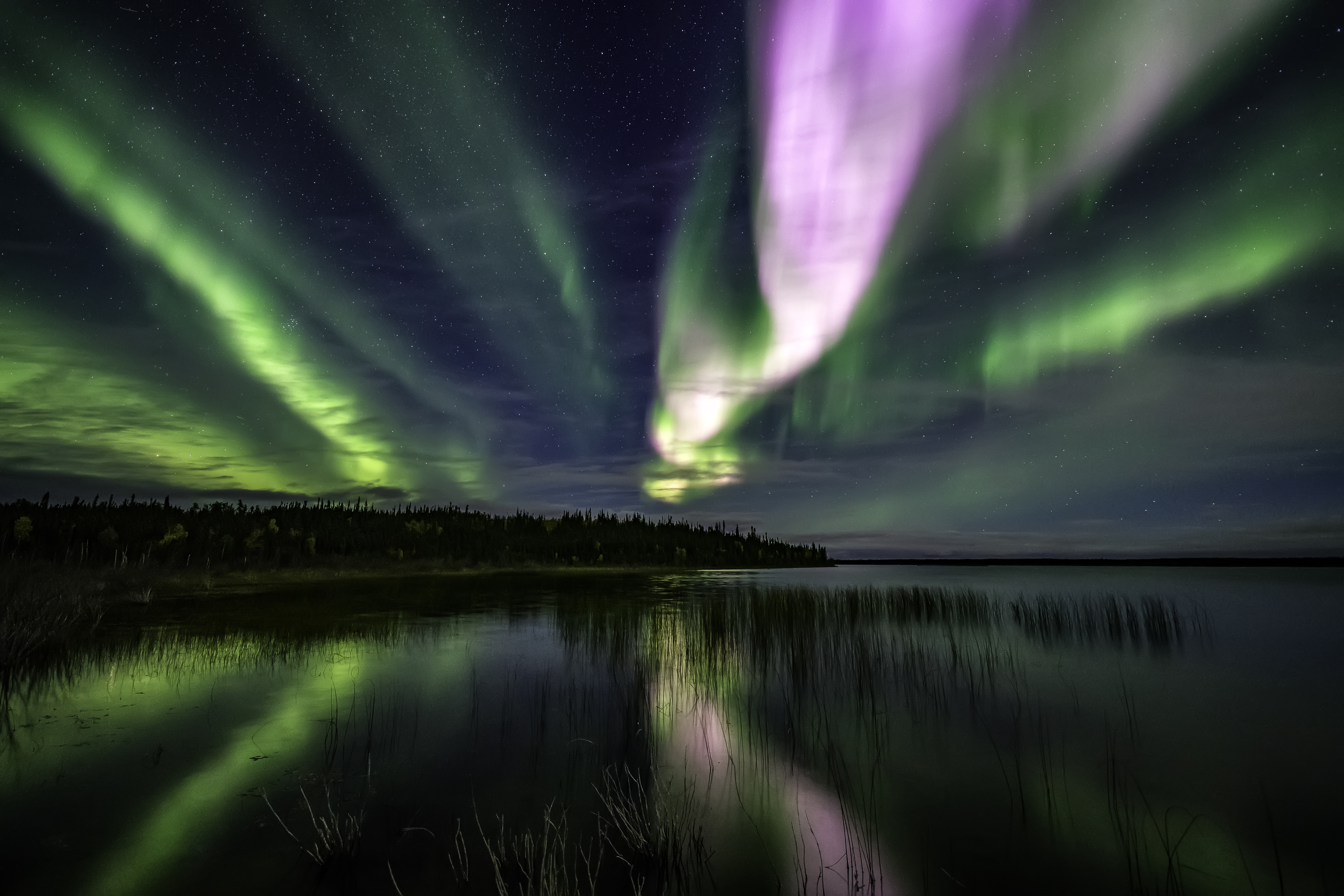 Clear sky allows visible northern lights to illuminate lake by forest in Canada’s Northwest Territories 