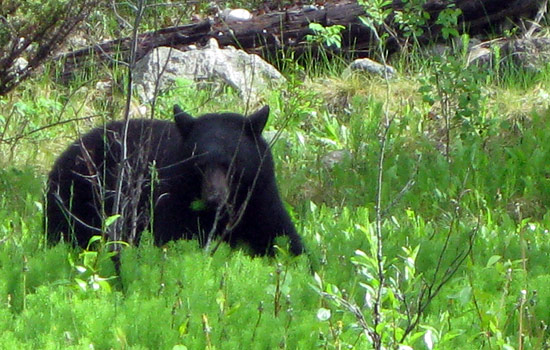 Lisa and Jerry review of their [object Object] trip