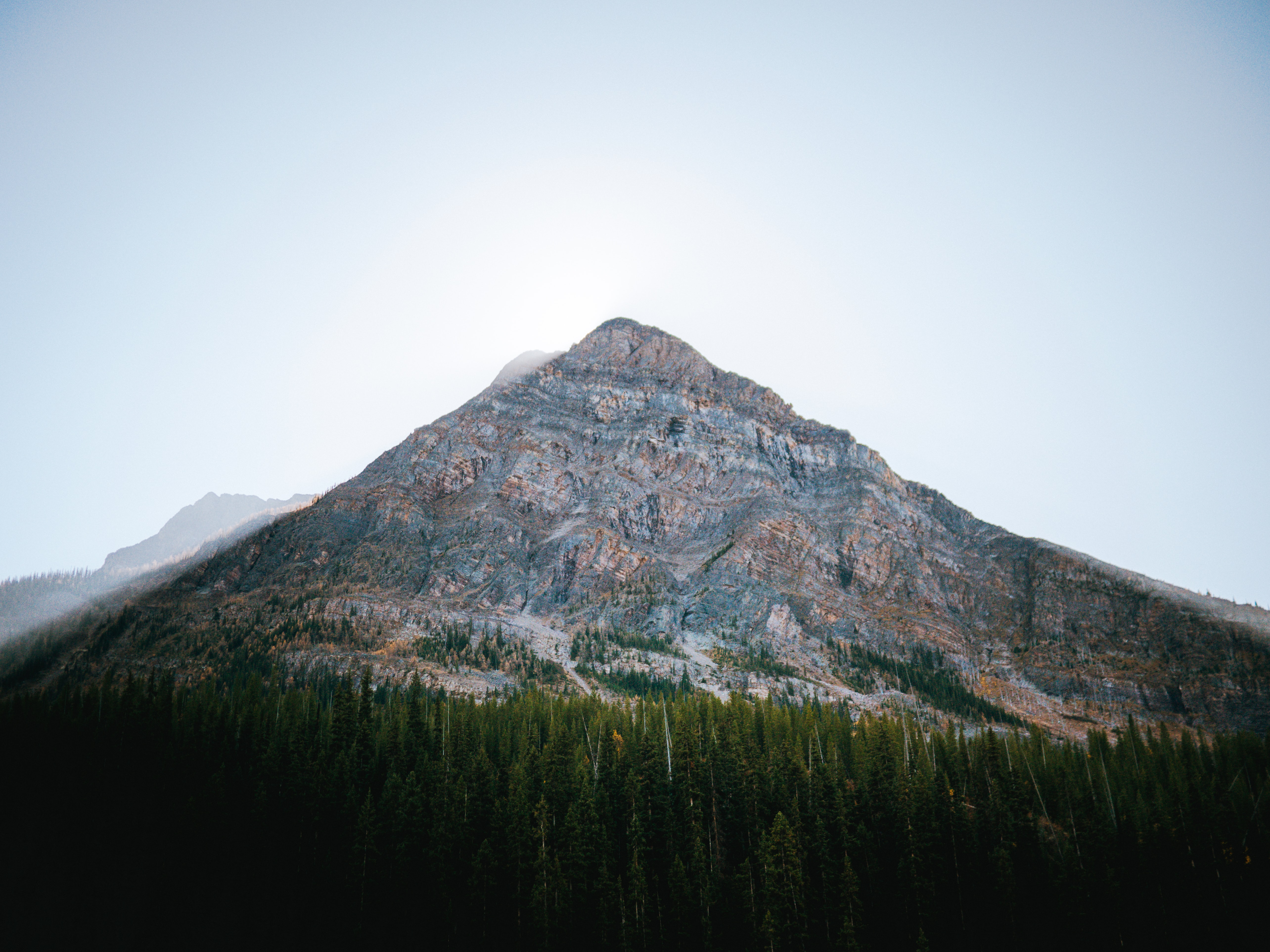 Tall dark green trees near top of mountain by Arnica Lake in Banff Alberta on an overcast day