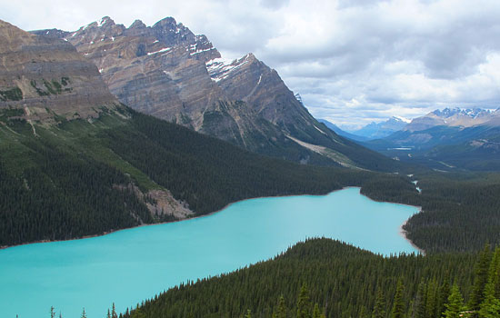 Fred and Sheila review of their null trip