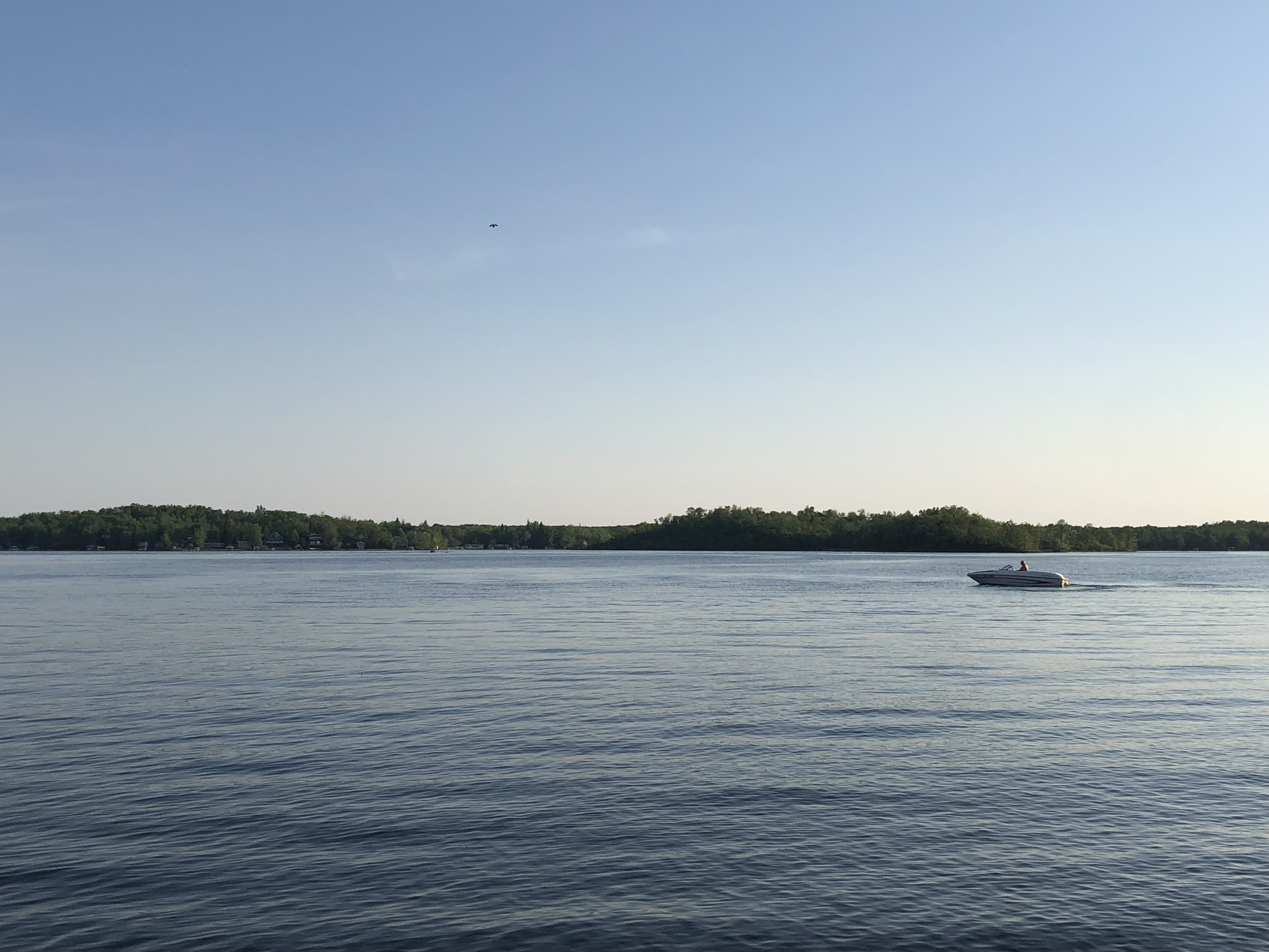 A speed boat cruising on Lake Metigoshe