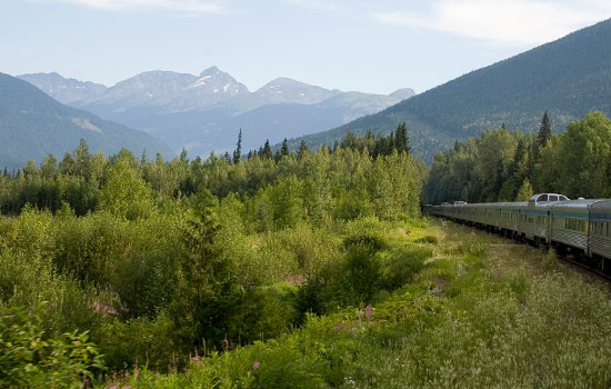 Marilyn and Brenda review of their null trip