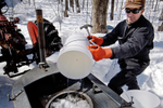 A man working outdoors on the production of maple syrup, snow on the ground and bare trees