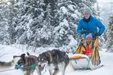 Dogsledding 