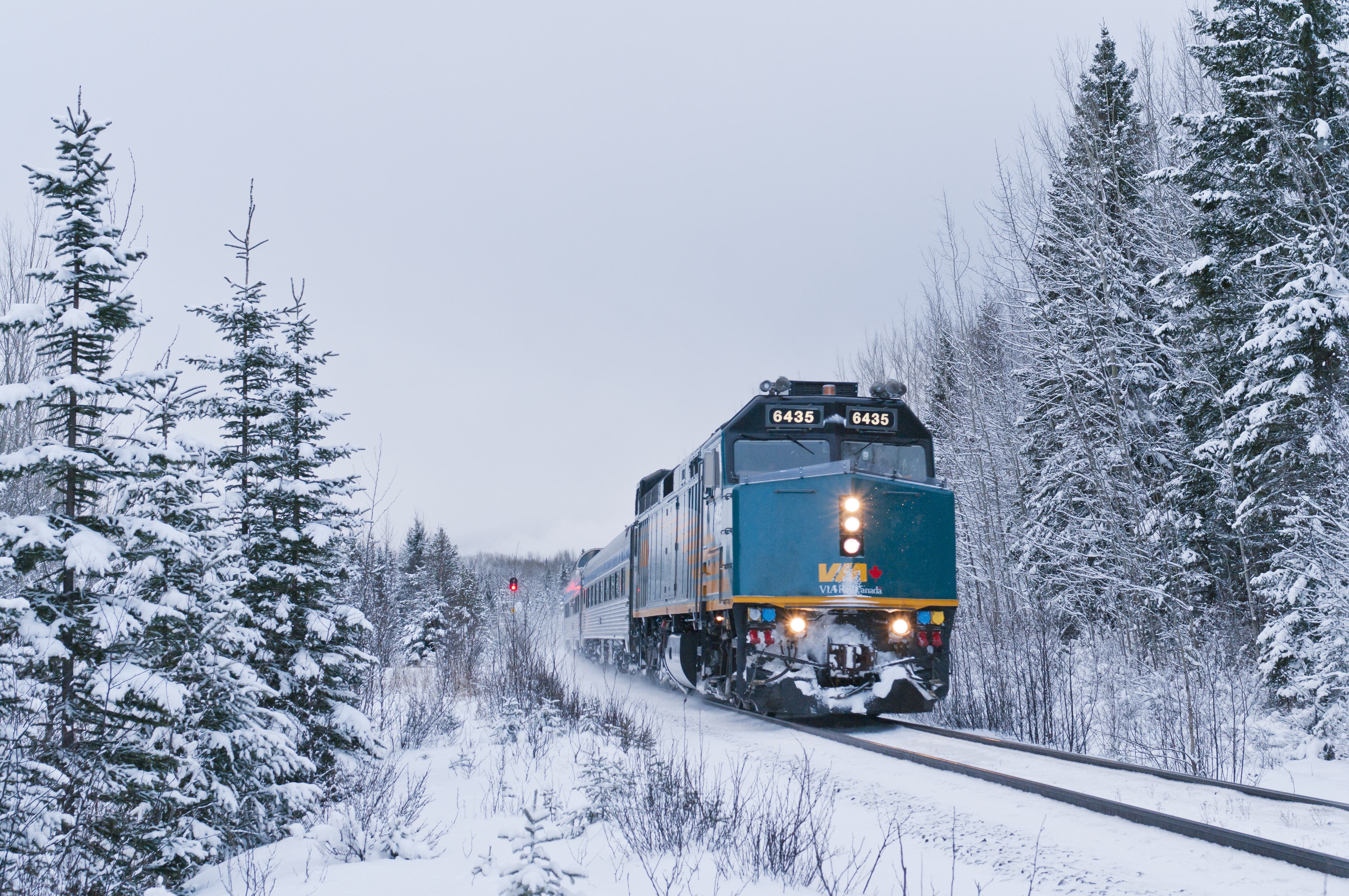 VIA Rail's Skeena train travels past snow-covered trees
