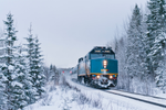 A VIA Rail train travelling through a snowy forest 