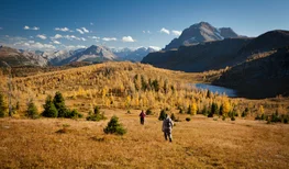Two people hiking through an alpine meadow with a lake and mountains in the background