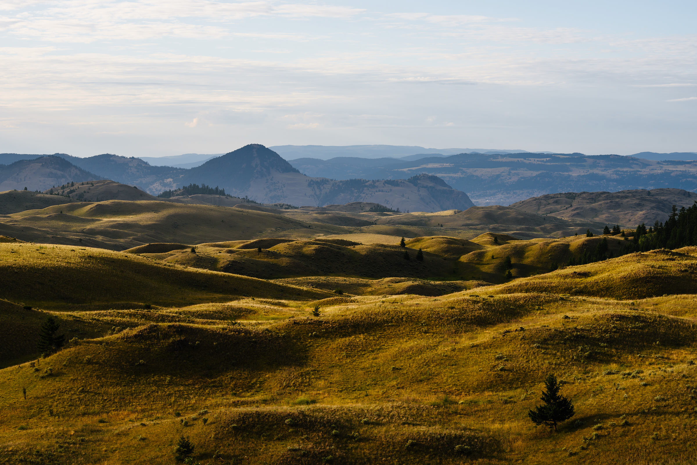 Rolling grasslands and forested hills