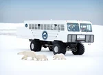 Tundra-buggy tours 