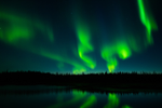 Northern Lights of Yellowknife glow in the sky and are mirrored in water body near trees