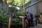 A family of four looks at an information sign in an indoor garden exhibit