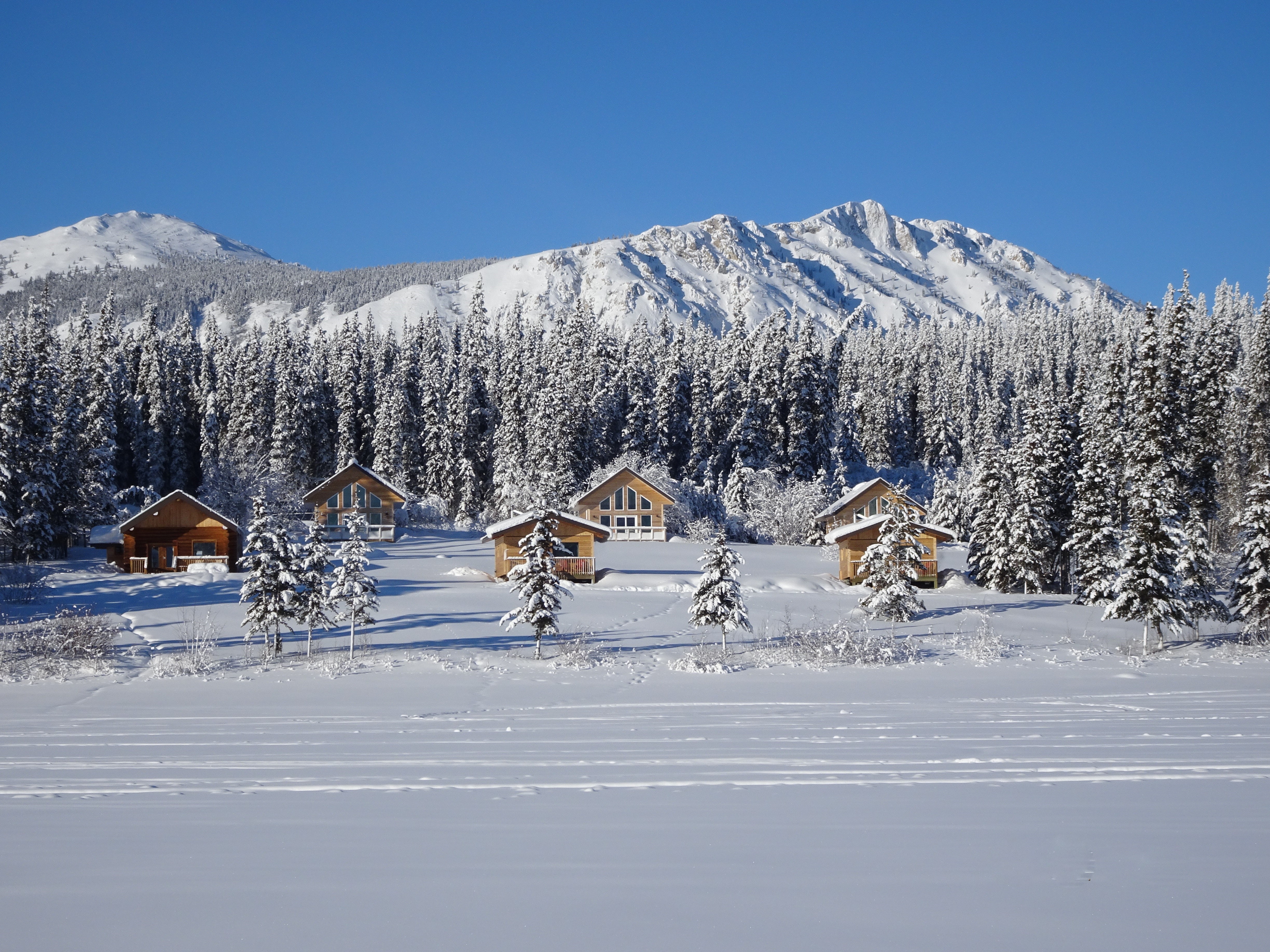 Cabins at the Southern Lakes Resort with snowy mountains behind