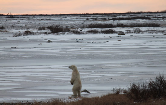 Joyce and William review of their [object Object] trip