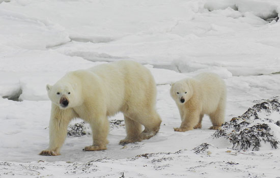 Lori and Mike review of their [object Object] trip