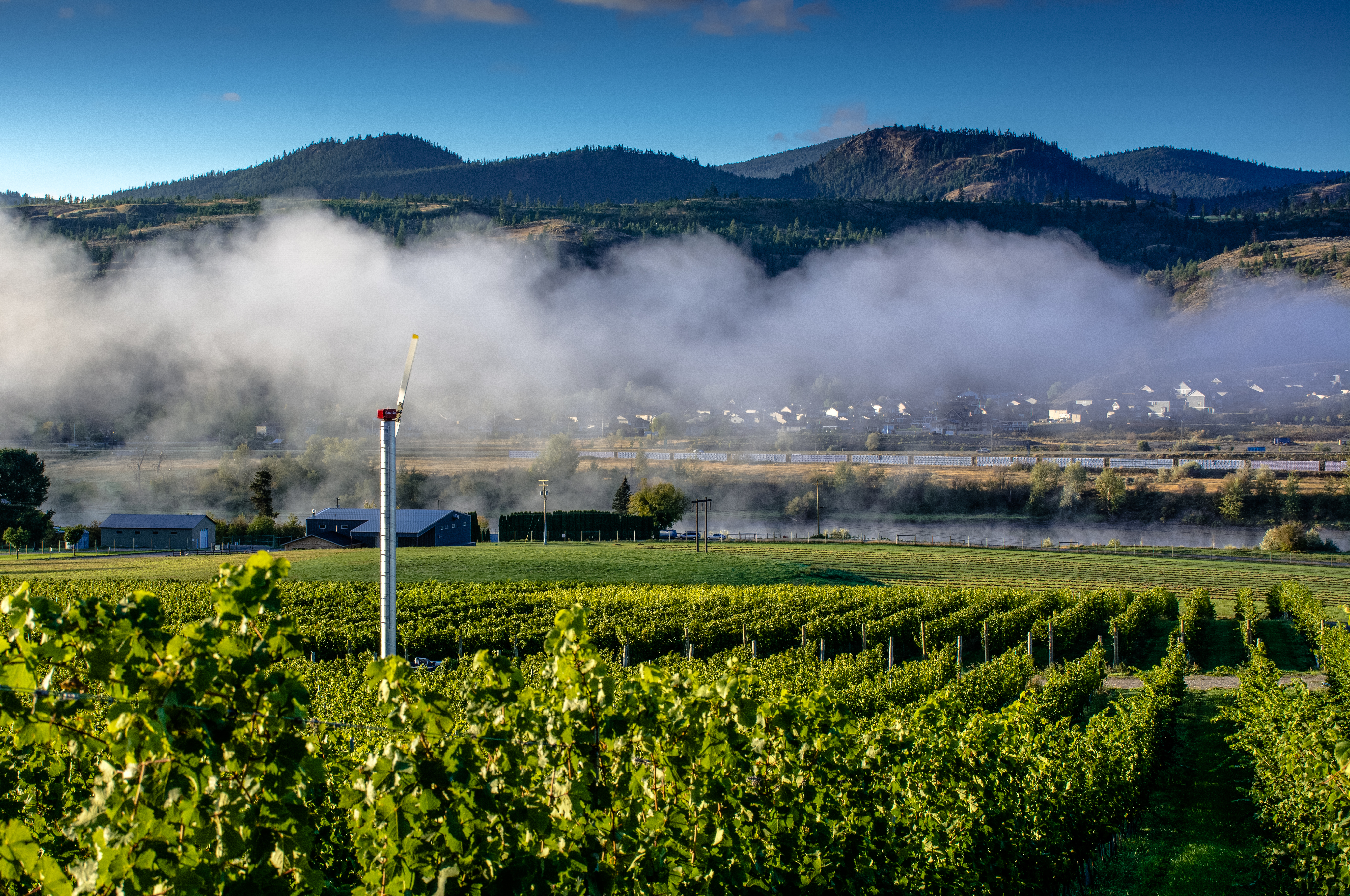 Kamloops winery stand out against backdrop of mountains