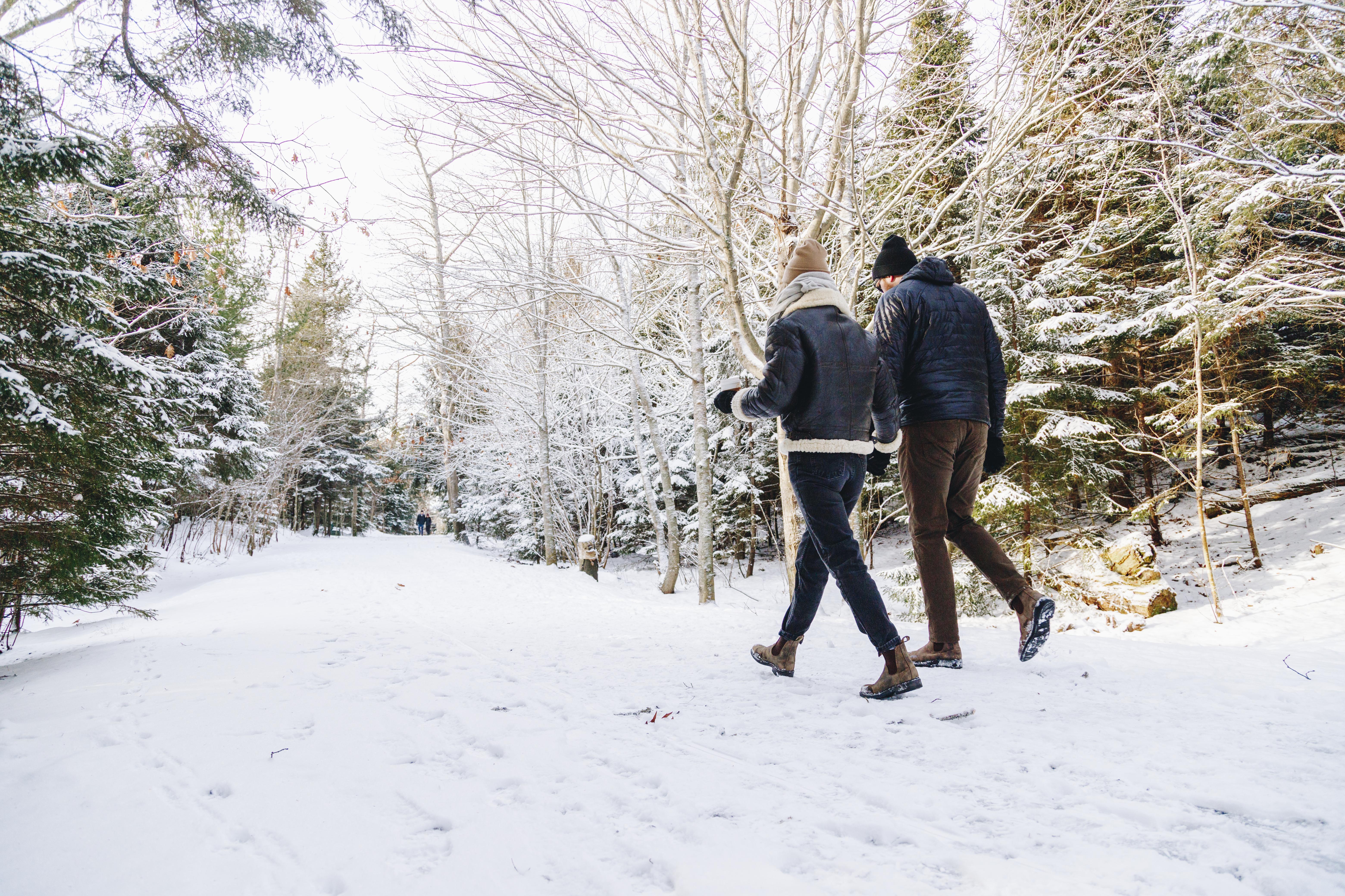 Two people walk through Point Pleasant Park in the snow
