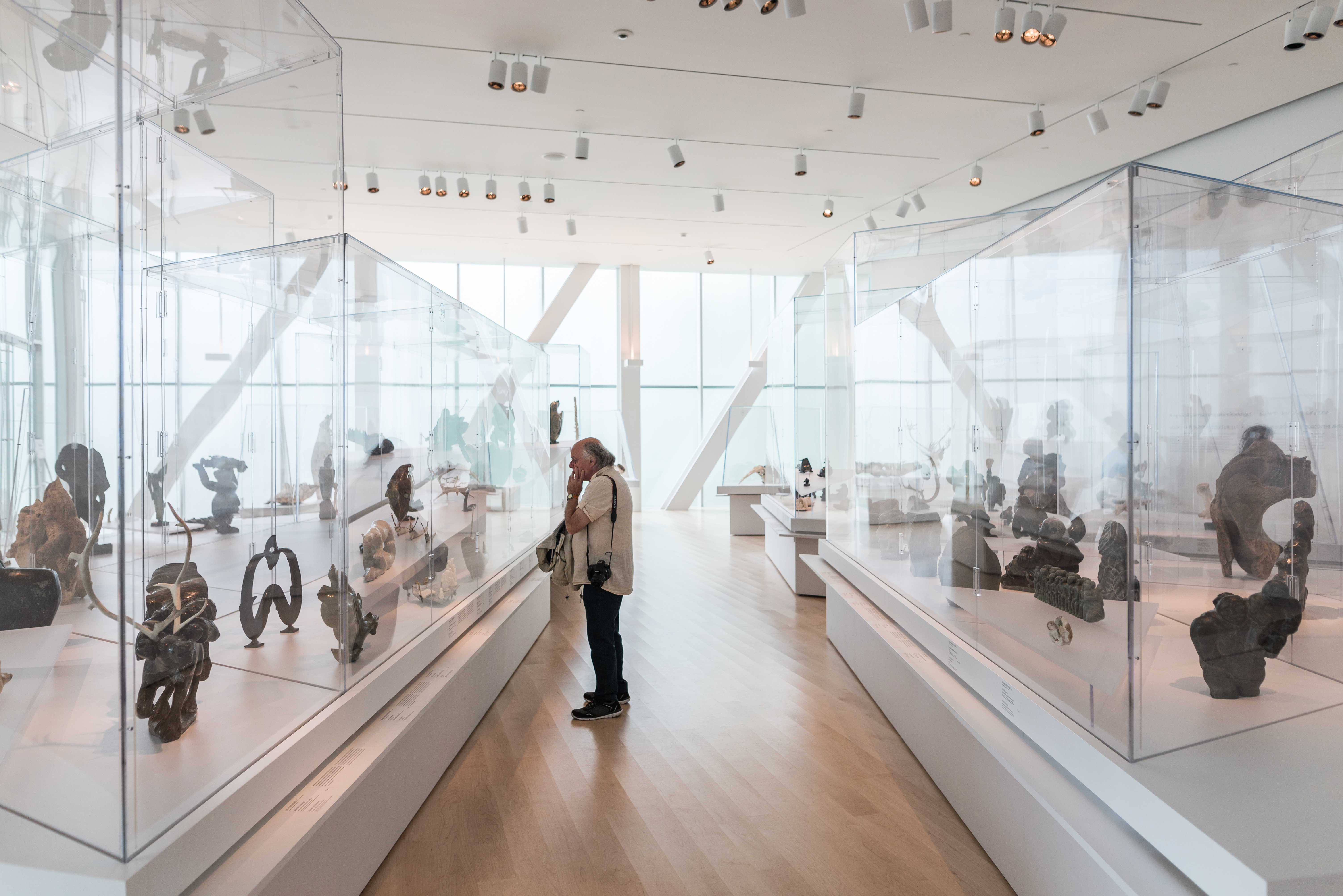 Person looking at an Inuit art collection in glass displays