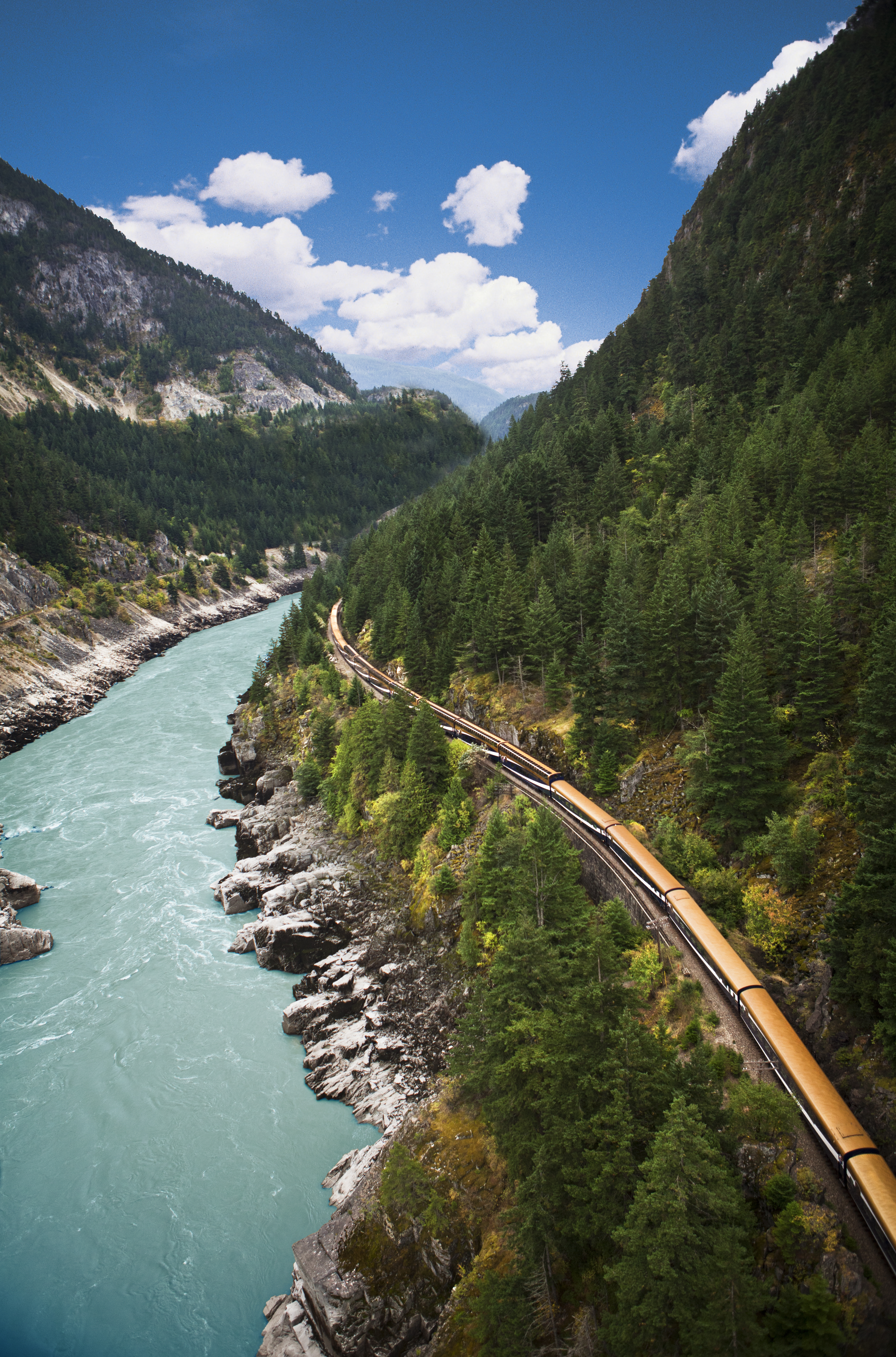 The Rocky Mountaineer train passes by a green river and lush forests.