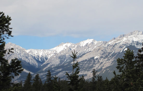 Linda and George review of their [object Object] trip