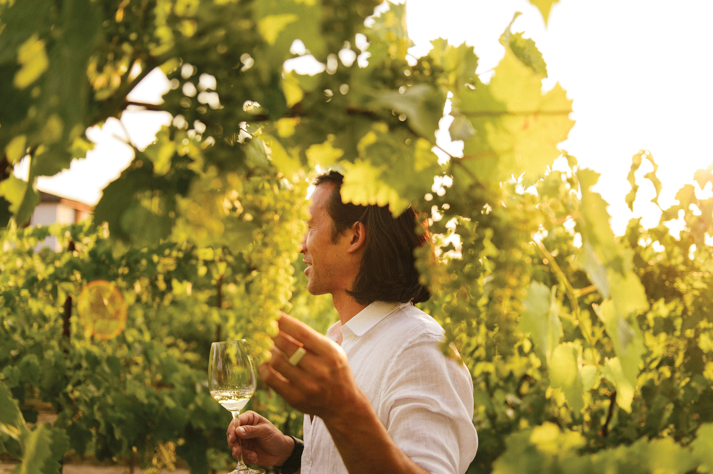 A man holding a wine glass in the vineyard at the Inniskillin Winery