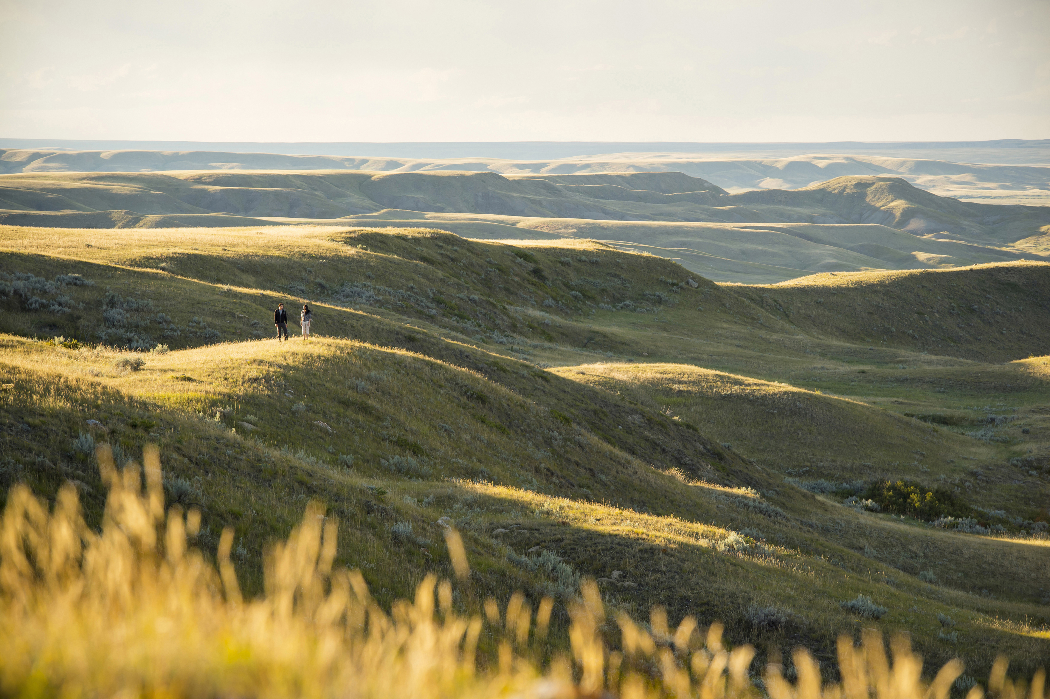 a couple walks over an open grassy hill in the prairies 