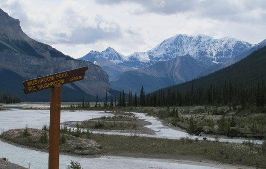 Ellen and Marion review of their [object Object] trip