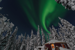 Northern Lights above snow-covered trees and a viewing hut near Dawson City