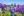 Legislative Buildings background with purple summer flowers in foreground