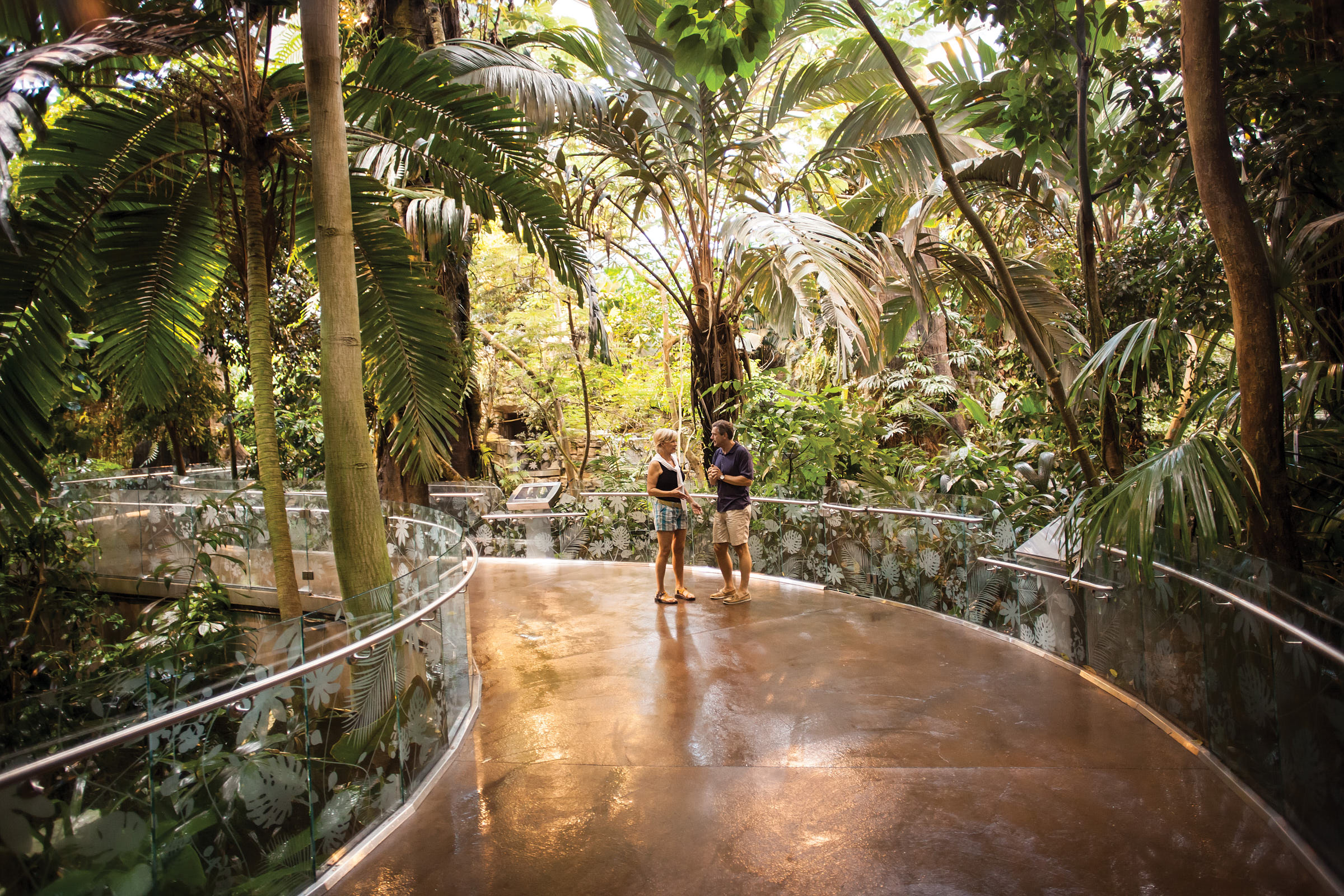 Couple walks through an indoor tropical garden at the Montreal Botanical Gardens