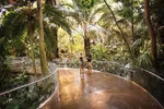 Couple enjoy indoor tropical gardens at the Montreal Botanical Garden 