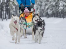 couple on a husky sled ride in Yukon in the snow