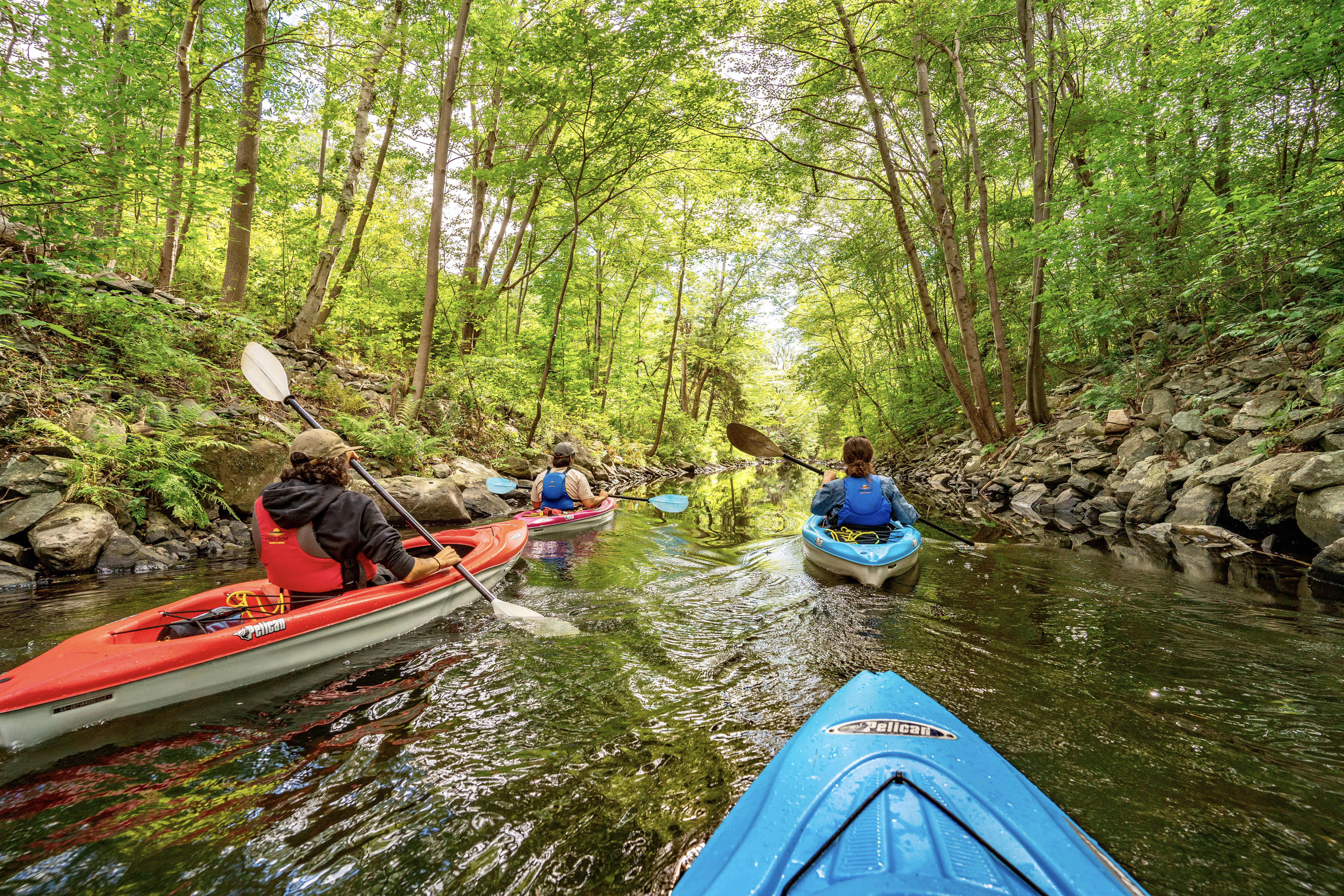 Group of kayakers paddling down a forested waterway