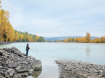 A man fishes enjoys fishing in the calm Quesnel River during the fall with mountains and colourful foliage in the background