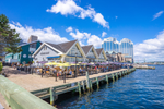 Seafood and local craft beer restaurant located in Halifax's Waterfront
