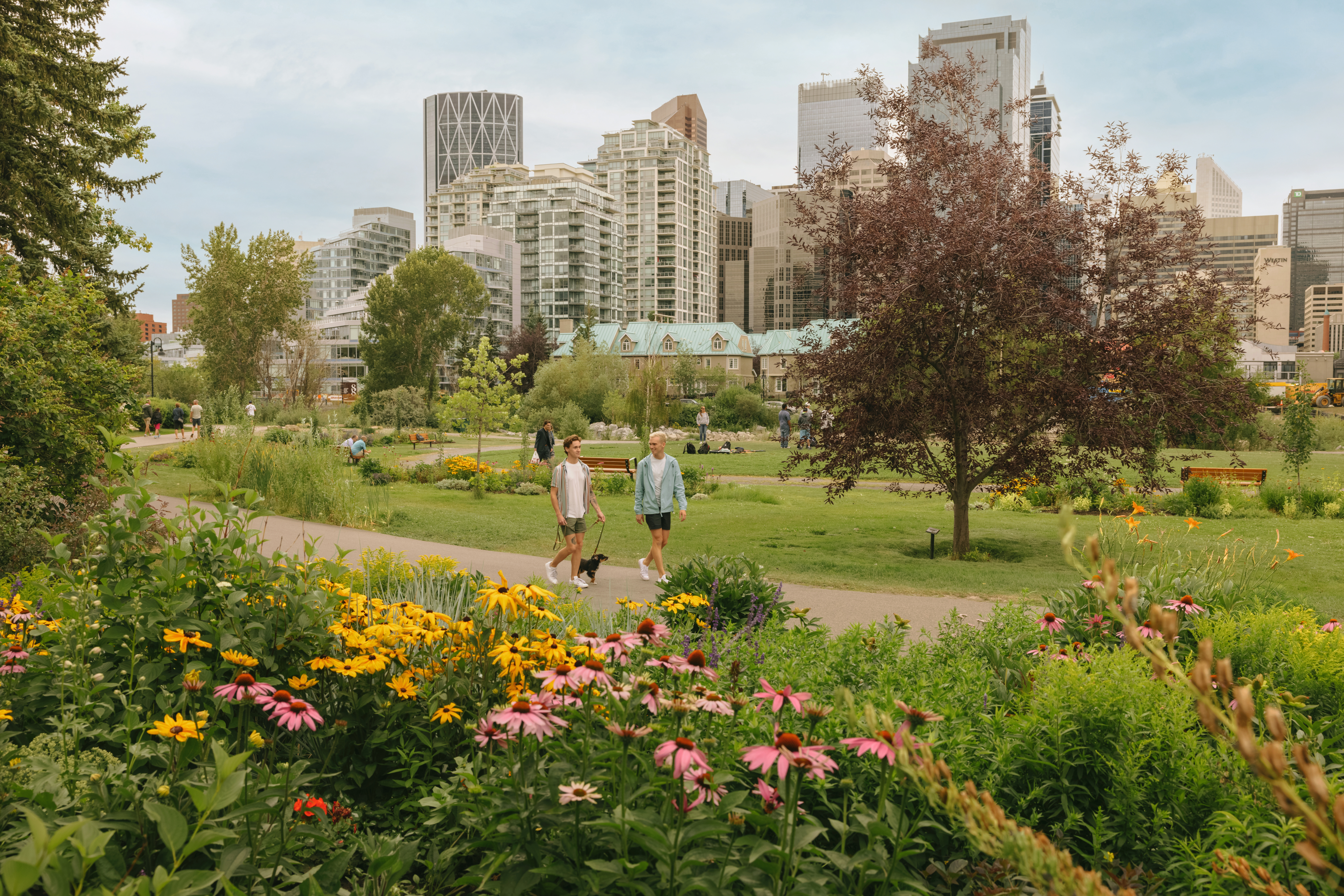 Two people walk their dog on a pathway through Prince's Island Park