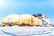 Large metal sheds painted with a sleeping polar bear