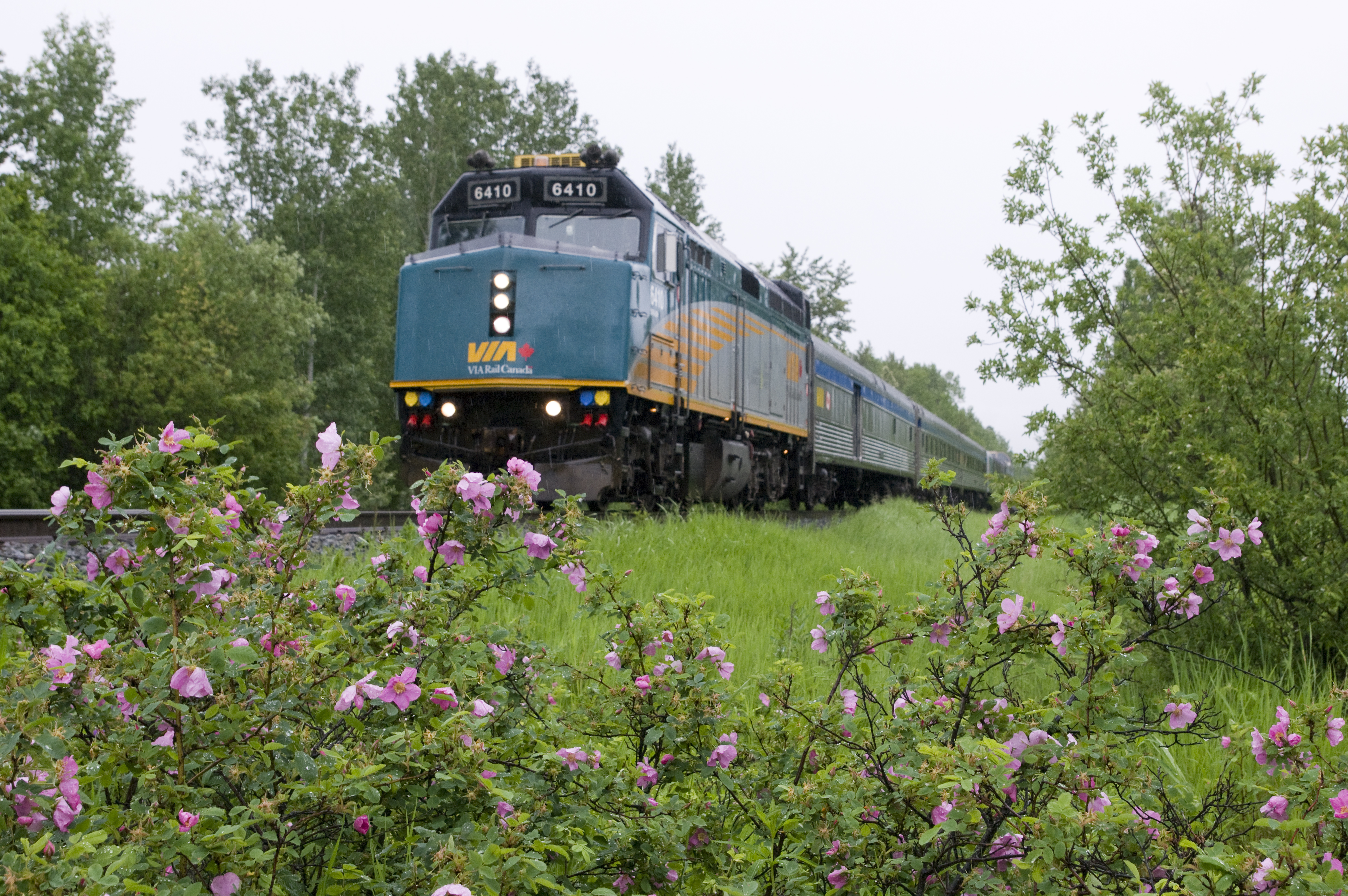 RS1496 RS3863 mgw4837