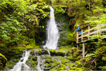 A person stands on a boardwalk viewpoint and looks at a waterfall in a lush forest