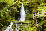 Elderly woman, visiting Fundy National Park, looks towards Dickson Falls from boardwalk in coastal Acadian forest