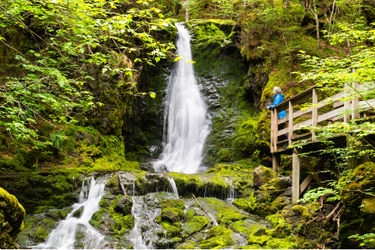 A woman admires waterfall from nearby boardwalk in lush and mossy forest