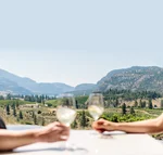 A couple cheers their glasses of wine with a vineyard in the background